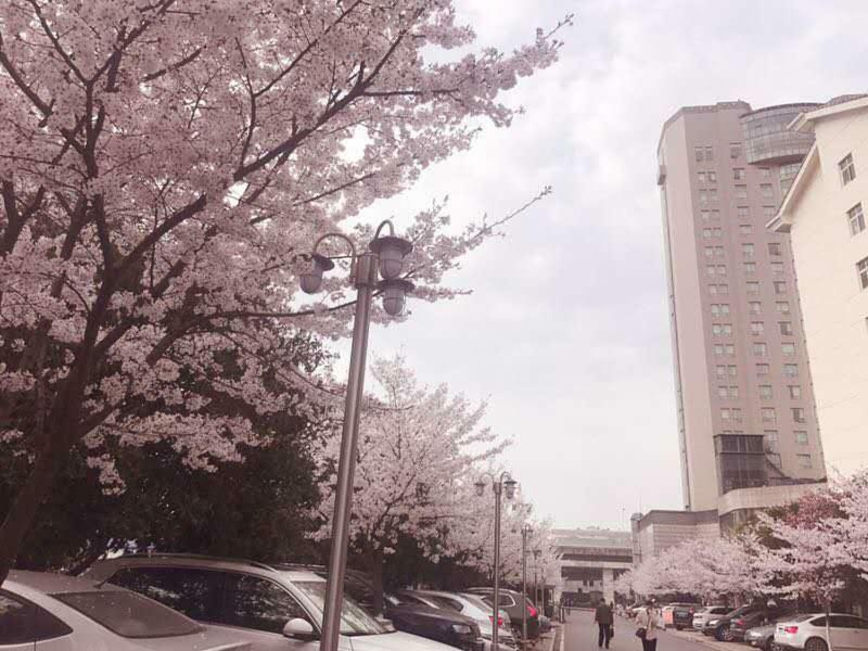 Xiongchu International Hotel Wu-chan Exteriér fotografie