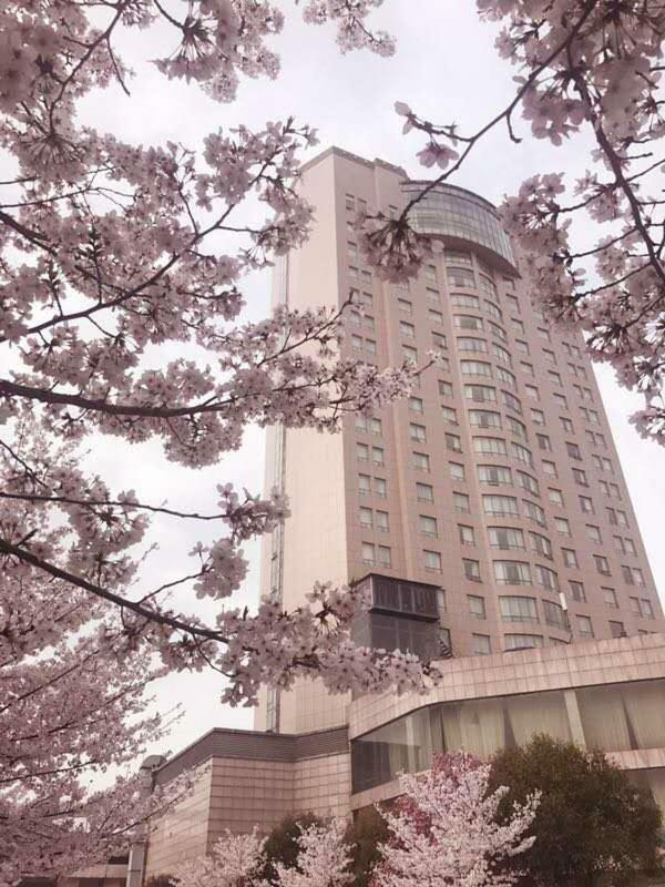 Xiongchu International Hotel Wu-chan Exteriér fotografie