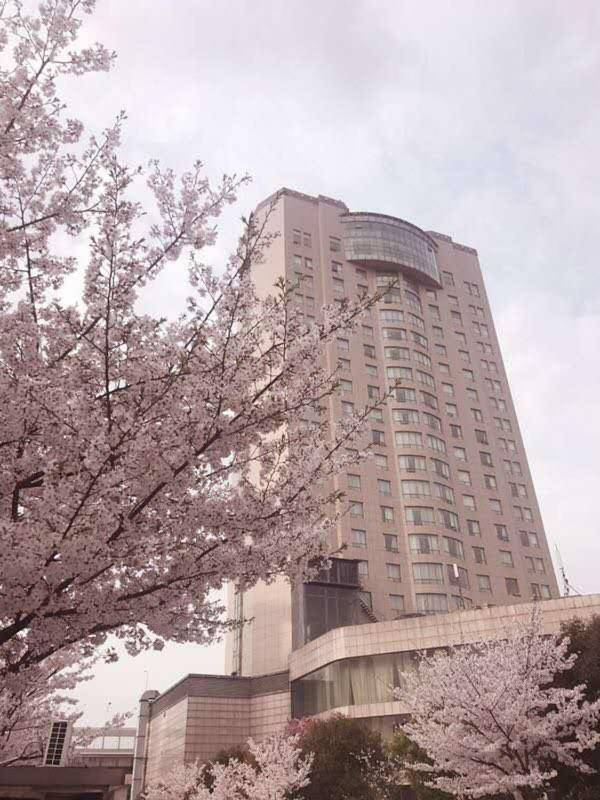 Xiongchu International Hotel Wu-chan Exteriér fotografie
